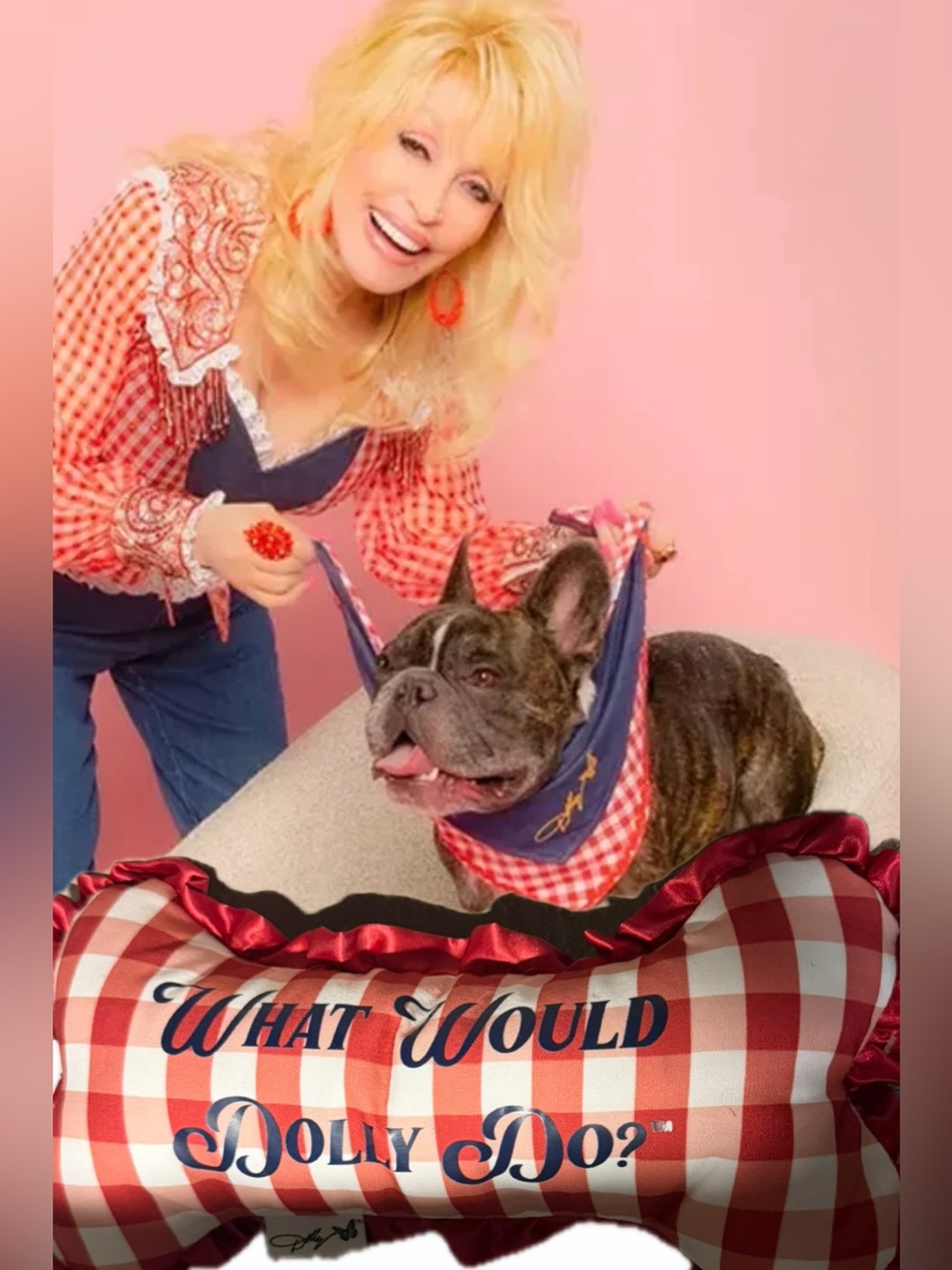 🆕 3/for $25 in a BUNDLE ~ Doggy Parton plush dog toy